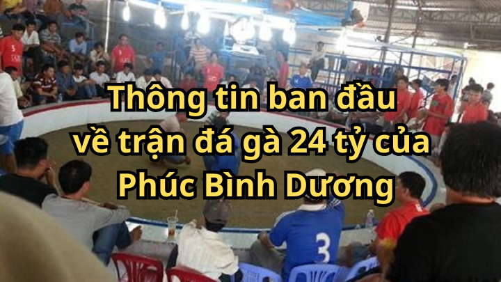 Thông tin ban đầu về trận đá gà 24 tỷ của Phúc Bình Dương